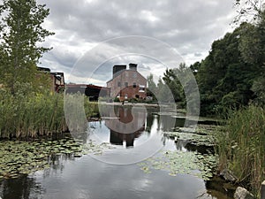 Tranquility at pond with reflections