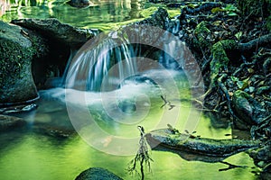 Tranquility river water in the mountain forest