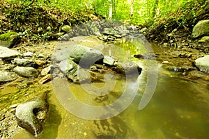 Tranquility river water in the mountain forest