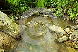 Tranquility river water in the mountain forest