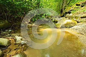 Tranquility river water in the mountain forest