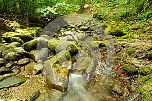 Tranquility river water in the mountain forest