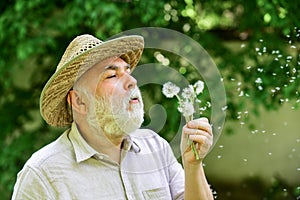 Tranquility and serenity. Harmony of soul. Elderly man in straw summer hat. Lonely grandpa blowing dandelion seeds in