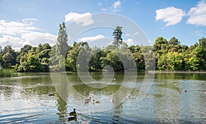 Tranquility view of Waikato river passing through Hamilton, New Zealand.