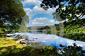 Tranquillity and bird song by the lake