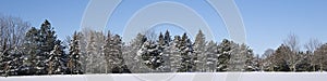 Tranquillity scene of a panoramic view of snow covered pine trees in winter park. photo