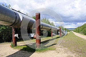Trans Alaska Oil Pipeline