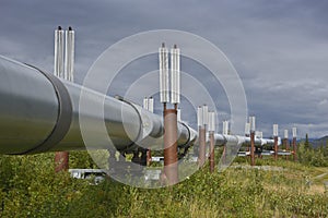 Trans-Alaska oil pipeline