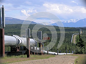 Trans-Alaska Pipeline