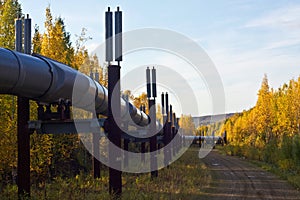 The Trans-Alaska Pipeline in Fall