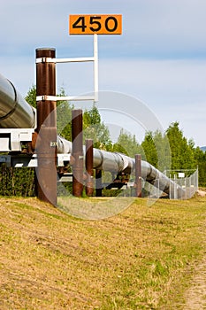 Trans-Alaskan Oil Pipeline photo