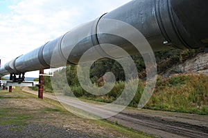 Trans Alaskan Pipeline, Alaska photo