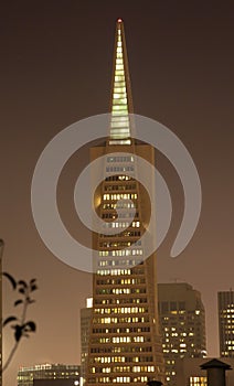 Transamerica Building Night San Francisco photo