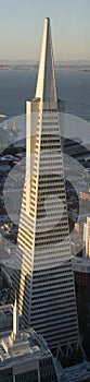 Transamerica Building panorama