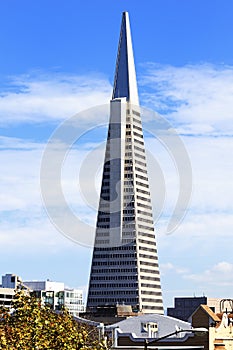 Transamerica building in San Francisco