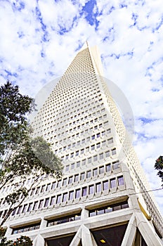 Transamerica skyscraper, San Francisco, USA