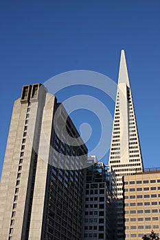 Transamerica Tower San Francisco Mod Architecture photo