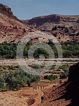 Transcendent Skies: The Magic of Cloud Patterns