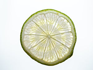 Translucent Backlit Wheel of a Key Lime Isolated on White