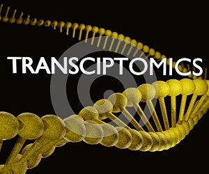 Transcriptomics with RNA and DNA in 3d