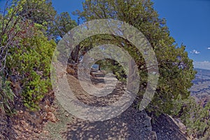 Transept Trail at Grand Canyon North Rim