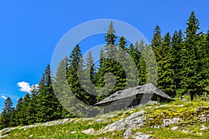 Transfagarasan landscape - old shed in the mountains - mountain landscape