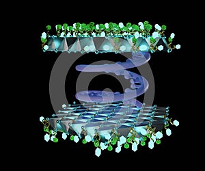 Transferosomes structure are vesicular carrier systems that enclosed by a lipid bilayer with DNA strands