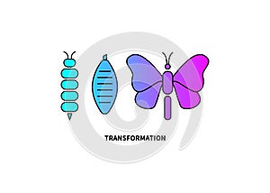 Transformation concept. Caterpillar, butterfly, and cocoon stages