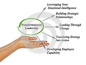 Transformational Leadership photo