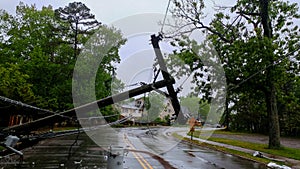 transformer on a pole and a tree laying across power lines over a road after Hurricane moved across