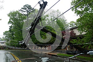 transformer on a pole and a tree laying across power lines over a road after Hurricane moved across