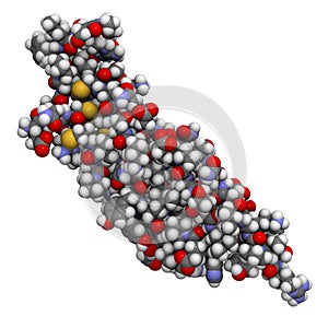 Transforming growth factor beta (TGFB) molecule