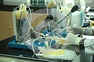 Transfusion Medicine photo