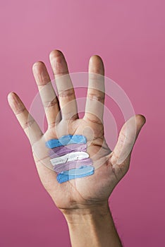 Transgender flag in the palm of the hand