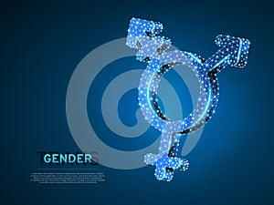 Transgender pride, people symbol. Wireframe digital 3d illustration. Low poly, Abstract Vector polygonal neon LGBT
