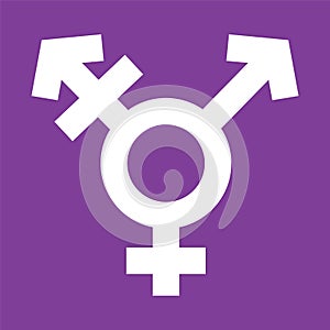 Transgender Symbol in Violet Color Background. Shemale Sexual Orientation Icon. Vector Gender Sign