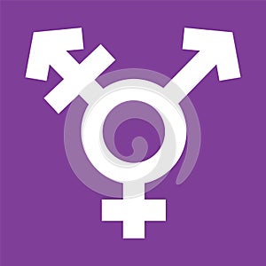 Transgender Symbol in Violet Color Background. Shemale Sexual Orientation Icon. Vector Gender Sign photo