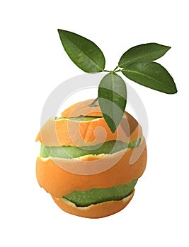 Transgenic orange