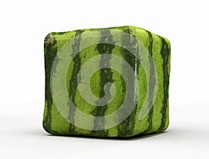 Transgenic watermelon