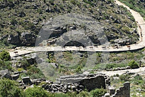 Transhumance in the Sierra de Gredos in Avila photo