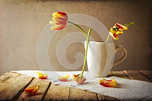 Transience Still life tulips cup petals