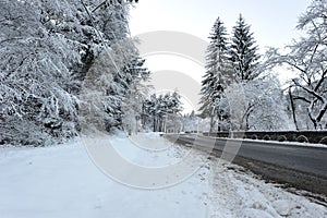 Transient road in winter season