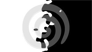 The transition from black to white with uneven border line, interpenetration of colors. Vector illustration photo