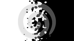 The transition from black to white with uneven border line, interpenetration of colors. Vector illustration photo
