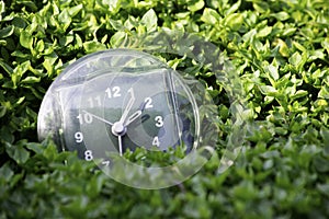 The transition to summer time, the arrival of spring, the clock on the background of bright green spring grass with a place for