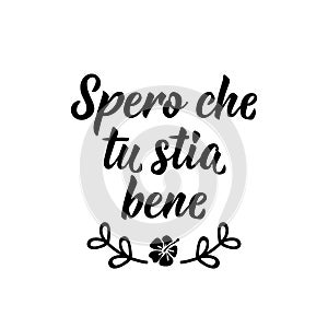 Translation from Italian: I hope you are well. Vector illustration. Lettering. Ink illustration. Spero che tu stia bene photo