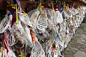 Translation: `The wooden-plate prayer` `ema` used in Japanese Shinto ritual at Oyama Shrine