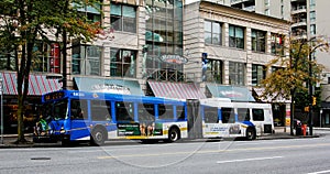 TransLink Canada, Bus Service.