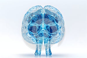 Translucent light blue human brain model