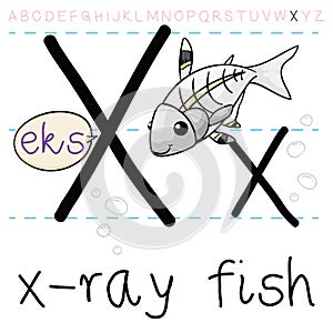 Translucent X-ray Fish Teaching you the Letter X, Vector Illustration